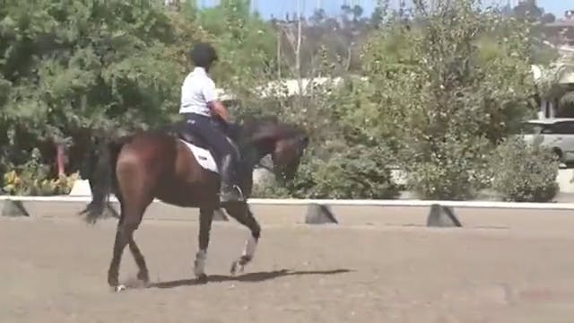 Trailer - Improving The Gaits