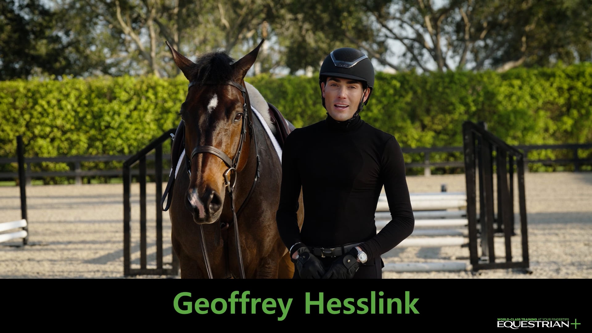 Gymnastic Exercises to Improve Your Hunter Rounds | Geoffrey Hesslink