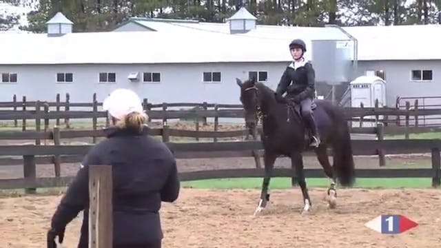 Novice / Training | Becky Holder | TR...