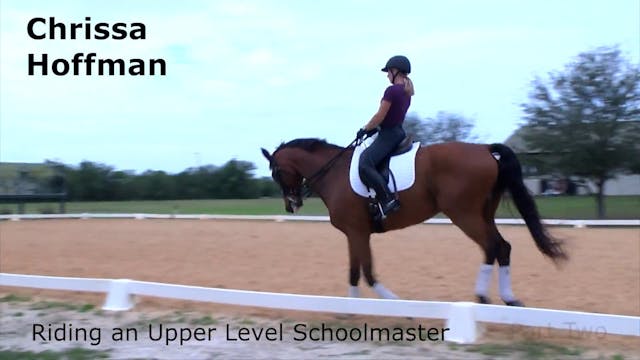 Riding an Upper Level Schoolmaster - ...