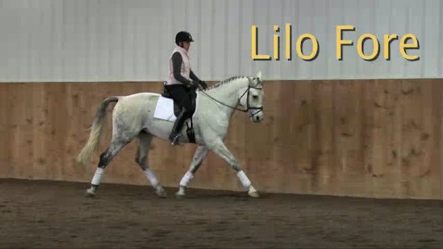 Lilo Fore, Training Level, Contact, P...