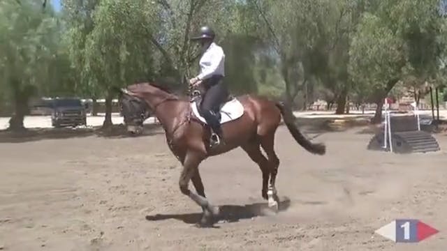 Daily Tuning For The Event Horse | Ta...