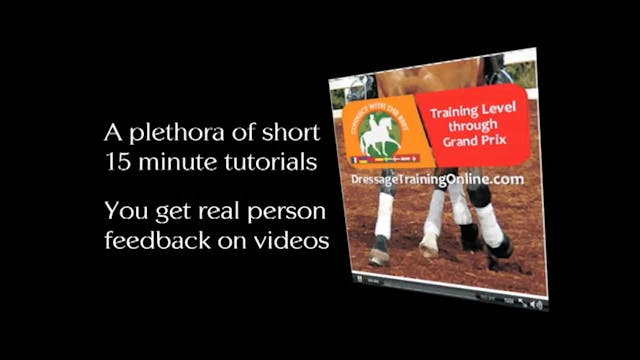 Training Basics, Elastic Contact | Su...