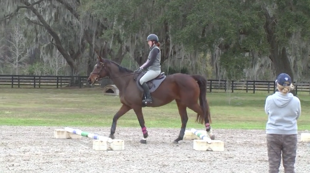 Cavalletti to Prepare for Jumping | Sharon White