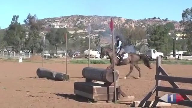 Creating contact with the experienced...