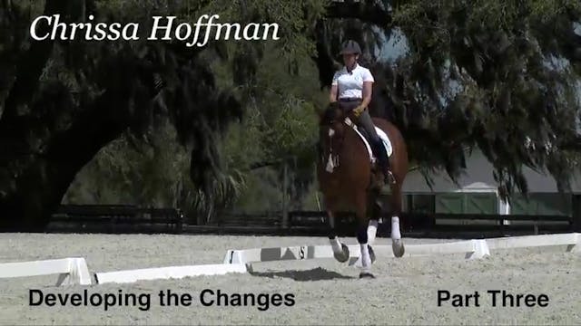 Developing the Changes | Chrissa Hoff...