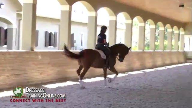 Training the Grand Prix Horse | Cathe...