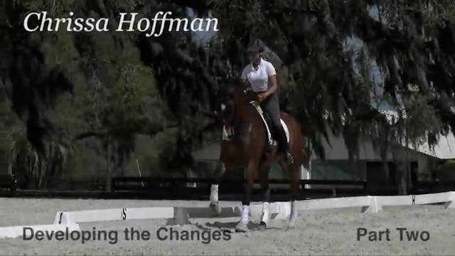 Developing the Changes | Chrissa Hoff...