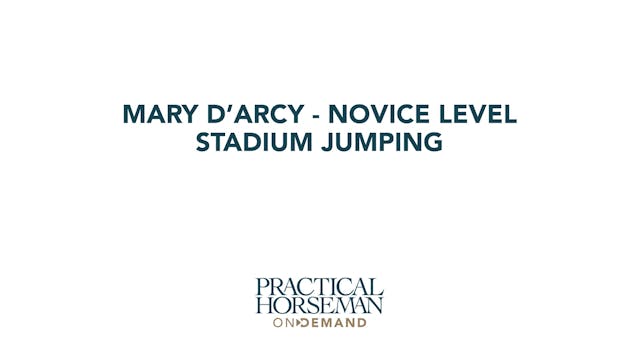 Novice Level Stadium Jumping