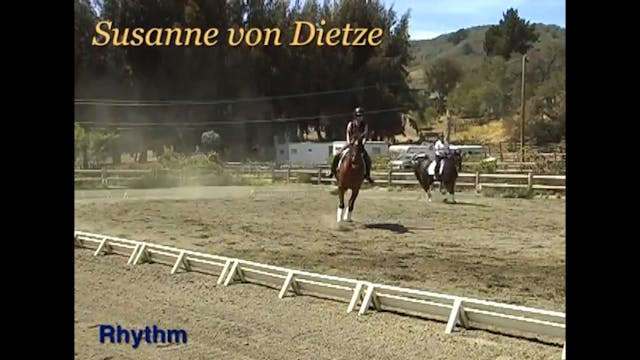 Rider Position, Rhythm | Susanne von ...