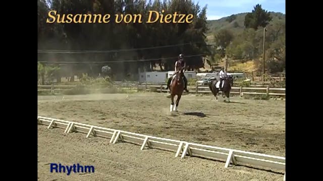 Rider Position, Rhythm with Susanne v...