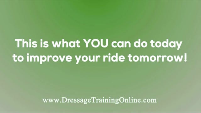 USDF Sport Horse Prospect Development...