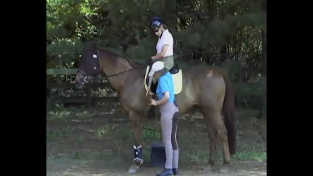 Rider Position, Boingy Balls vs Bean ...