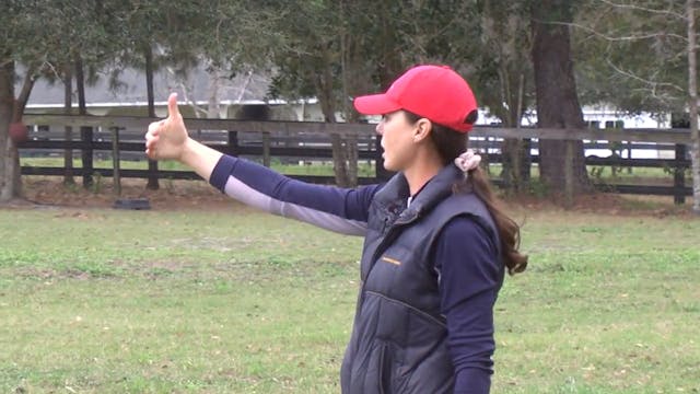 Cavalletti for Jumping | Ashley Johns...