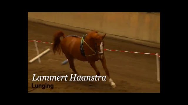 Basic Training in Lunging | Lammert H...