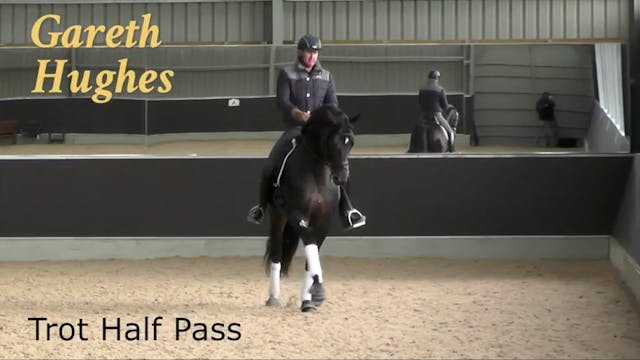 Trot Half Pass | Gareth Hughes | PART 02