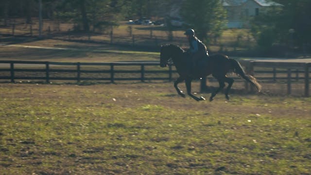 Confidence Game - An OTTB to Remember