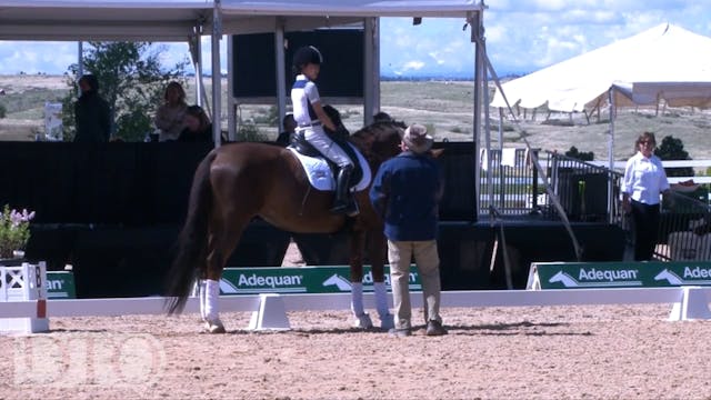 Third Level, Test Three - Trot Work |...