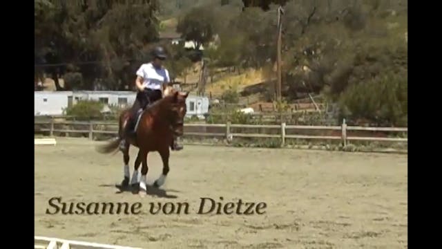 Rider Position - Balance | Susanne vo...