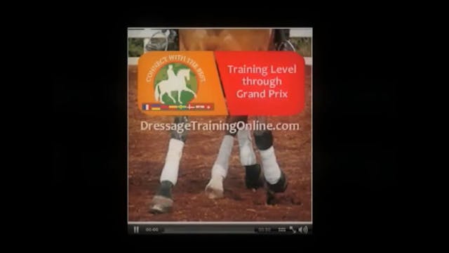 How to strengthen the hind end - Mart...