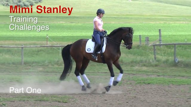 Training Challenges | Mimi Stanley | ...