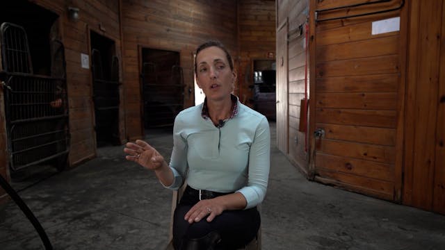 How Horses Learn | Chelsea Canedy