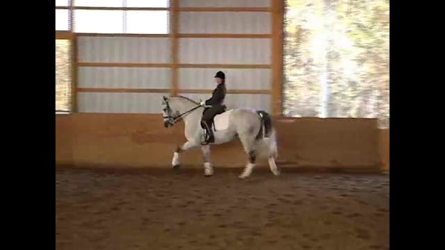 Janet Foy - Dressage Through the Leve...