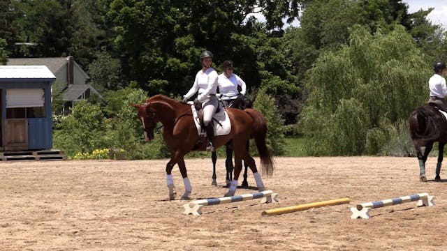 Canter Work Over Cavalletti