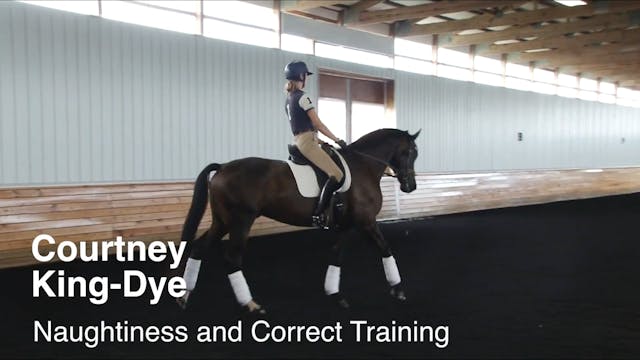 Naughtiness and Correct Training 2