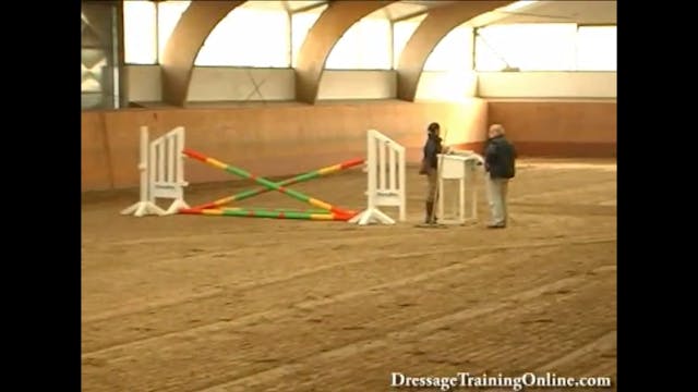 2008 121st Elite Hanoverian Auction, ...