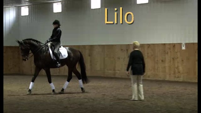 Riding the experienced horse - 2/2012...