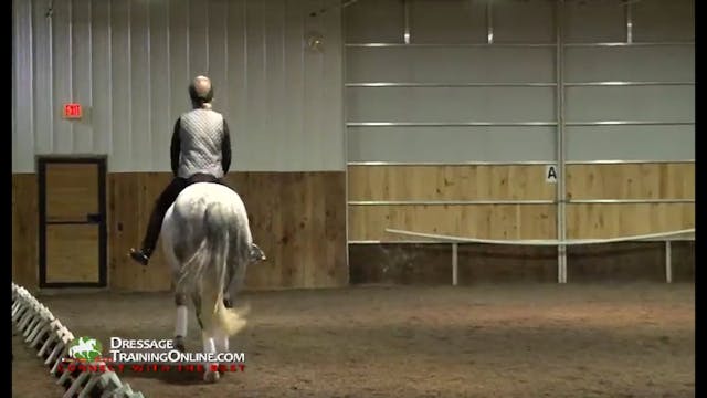 FarmVet/USDF Adult Clinic: Moving Up ...