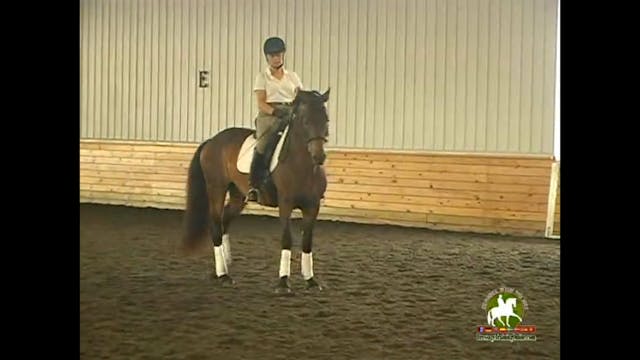 Canter Pirouette, Piaffe Passage | Co...