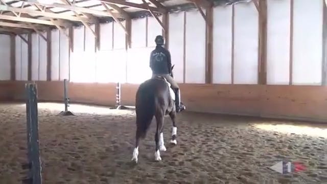 Thoughtful Riding, Flatwork & Grids |...