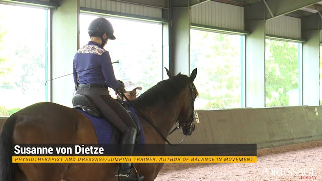 The Rider's Seat: Day 3, Ride 7 | Sus...