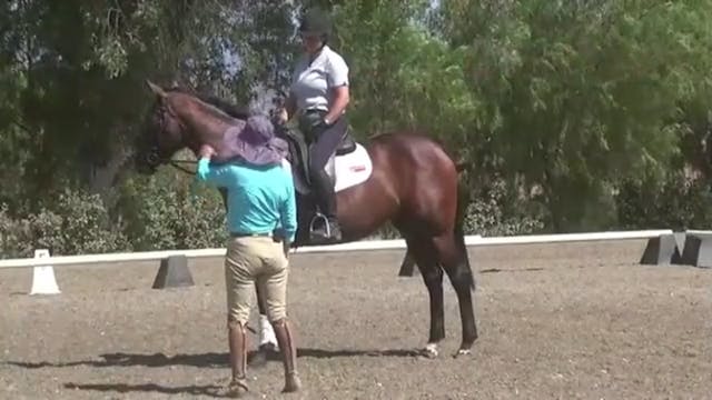 Improving the Gaits | Jane Bartle-Wil...