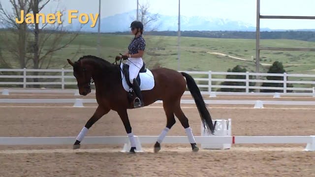 Prix St. Georges s/Intermediate 1 | J...