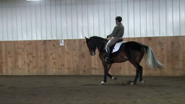Solid Basics for Young Dressage Horse...