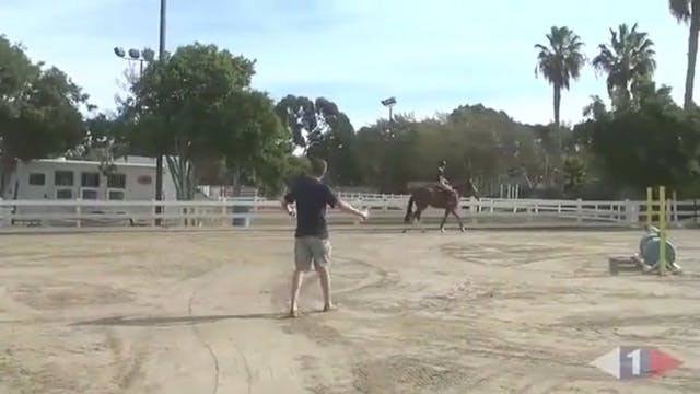 Arena Exercise To Improve Technique -...