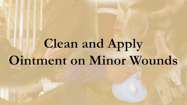 How to Clean and Apply Ointment on Minor Wounds