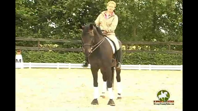 Canter pirouettes and half steps with...