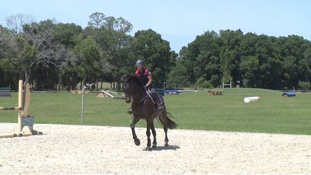 Canter Necessities | Robin Walker | T...