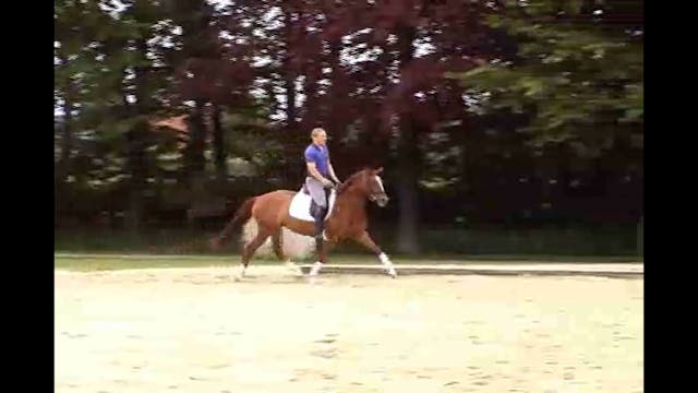 Young Horse Focus with Catherine Haddad
