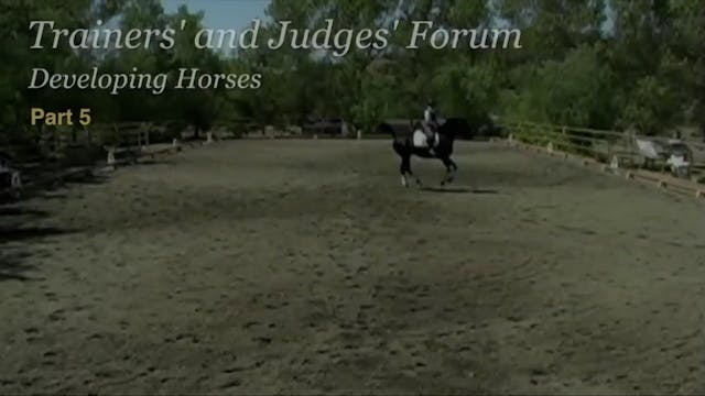 Trainers' & Judges' Forum: Developing...