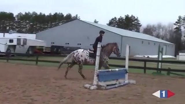 Novice / Training | Becky Holder | TR...