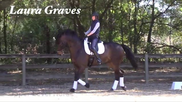 Reschooling the Upper Level Horse | L...