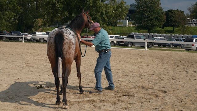 Scapular and Wither Releases | Jim Ma...