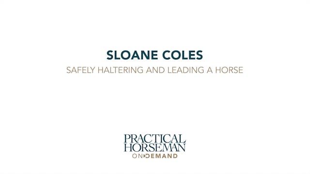 Safely Haltering and Leading a Horse ...