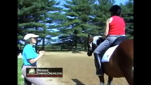 The Basics in Equitation, Seat, Postu...