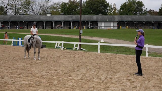 Identifying Your Horse's Energy Level...